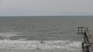 Wave Cam - Ventnor Pier, NJ